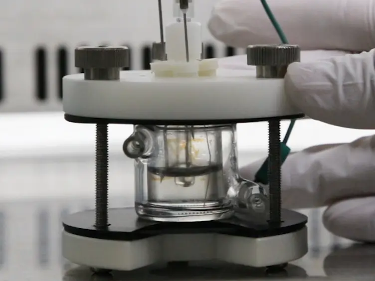 Electrochemical Detection of Deuterium Kinetic Isotope Effect on Extracellular Electron Transport in <em>Shewanella oneidensis</em> MR-1