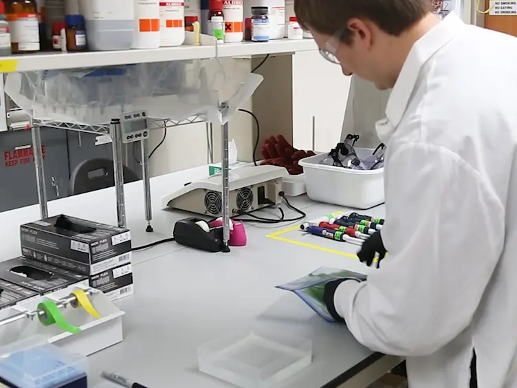 Two Methods for Decellularization of Plant Tissues for Tissue Engineering Applications