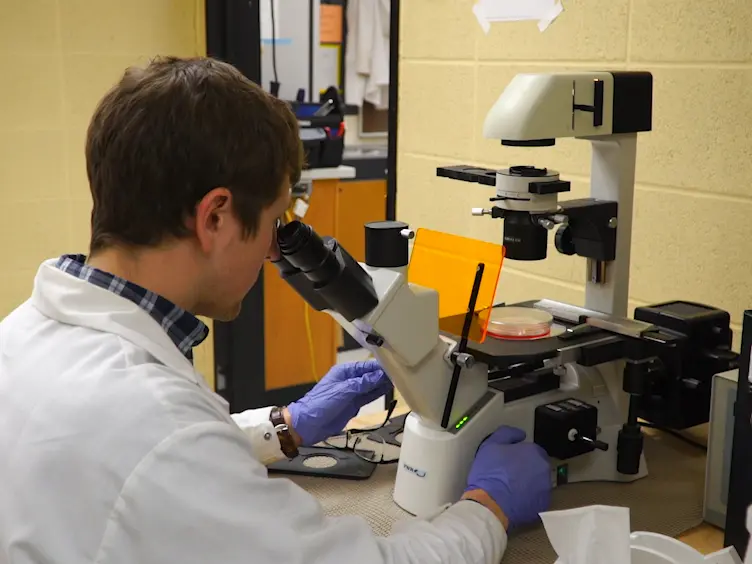 Calorespirometry: A Powerful, Noninvasive Approach to Investigate Cellular Energy Metabolism