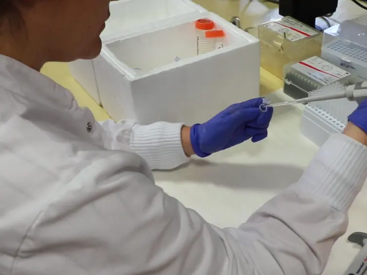Subcellular Fractionation from Fresh and Frozen Gastrointestinal Specimens