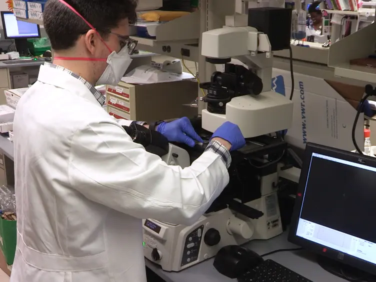 Optimization of Laser-Capture Microdissection for the Isolation of Enteric Ganglia from Fresh-Frozen Human Tissue