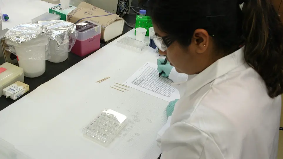 Protocols for Testing the Toxicity of Novel Insecticidal Chemistries to Mosquitoes