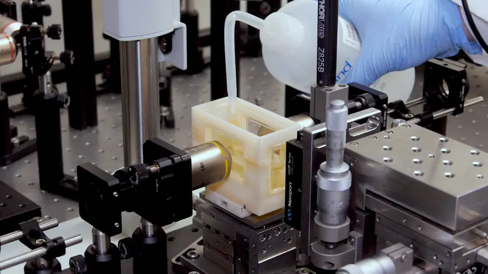 Light-sheet Fluorescence Microscopy for the Study of the Murine Heart
