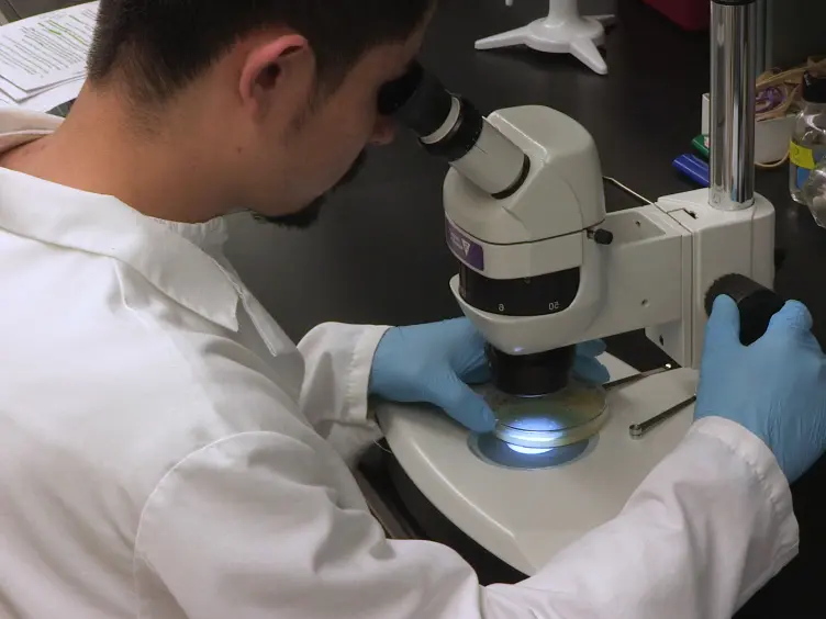 Purification and Reconstitution of TRPV1 for Spectroscopic Analysis