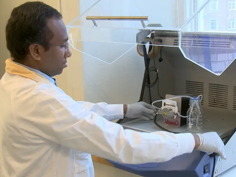 Decellularization and Recellularization Methodology for Human Saphenous Veins