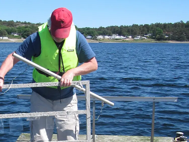 The Barnacle <em>Balanus improvisus</em> as a Marine Model - Culturing and Gene Expression