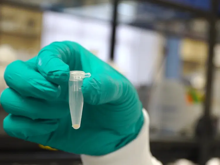 Preparation of <em>Drosophila</em> Larval Samples for Gas Chromatography-Mass Spectrometry (GC-MS)-based Metabolomics