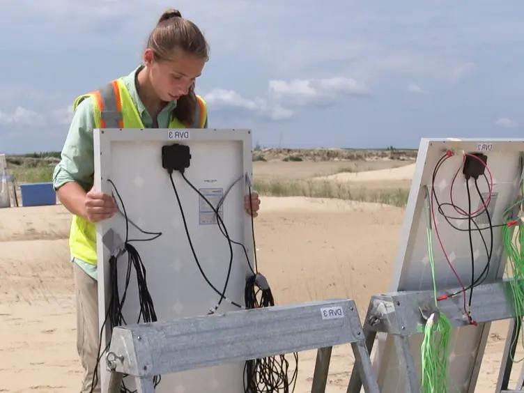 A Video Surveillance System to Monitor Breeding Colonies of Common Terns (<em>Sterna Hirundo</em>)