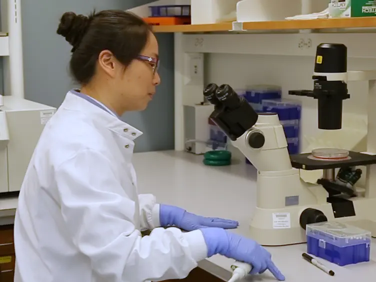 Pancreatic Islet Embedding for Paraffin Sections