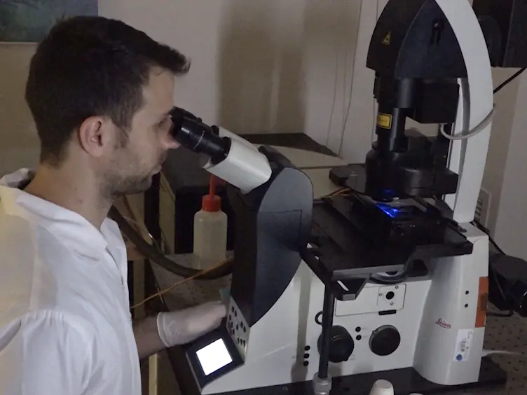 Imaging FITC-dextran as a Reporter for Regulated Exocytosis