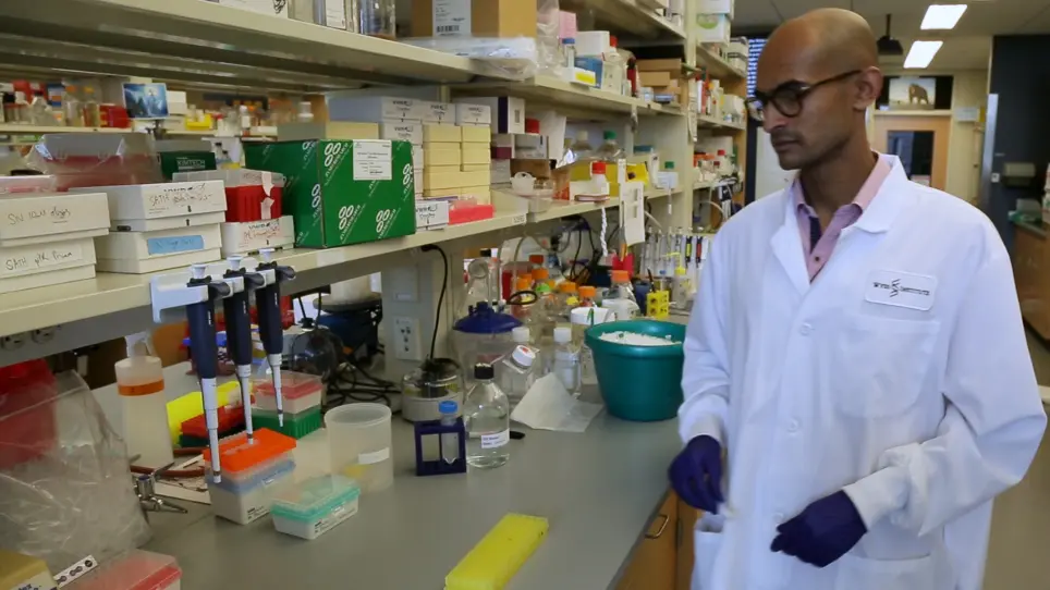 CRISPR Guide RNA Cloning for Mammalian Systems