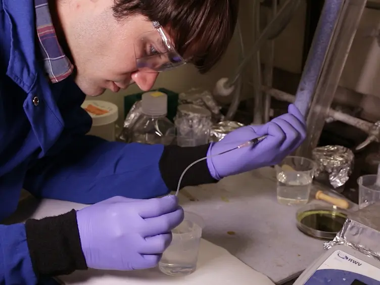 Syringe-injectable Mesh Electronics for Stable Chronic Rodent Electrophysiology