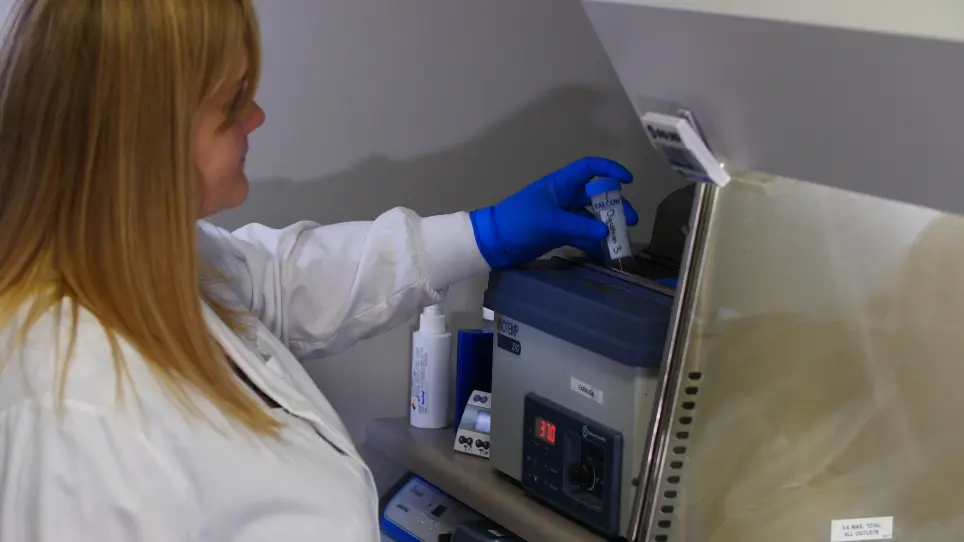 Whole Cell Electrophysiology of Primary Cultured Murine Enterochromaffin Cells
