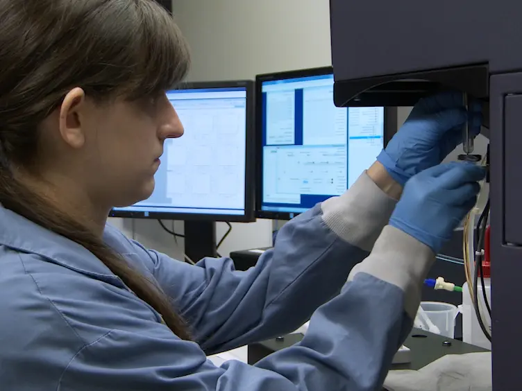 Isolation and Identification of Extravascular Immune Cells of the Heart