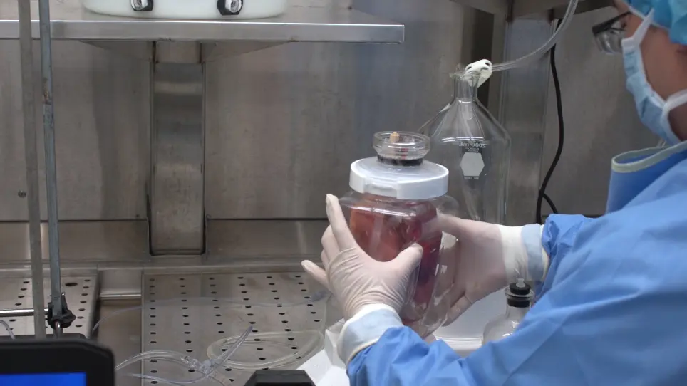 Decellularization of Whole Human Heart Inside a Pressurized Pouch in an Inverted Orientation