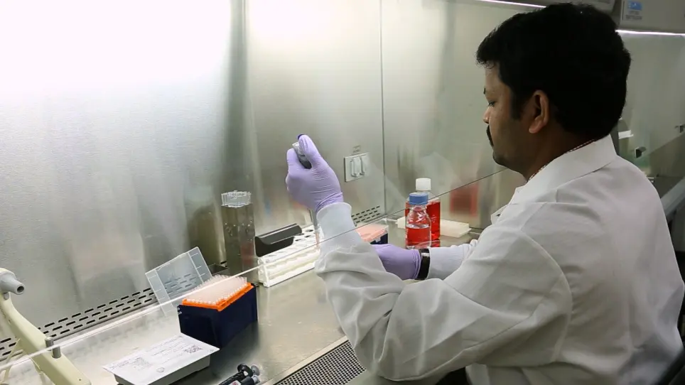 A Proximal Culture Method to Study Paracrine Signaling Between Cells