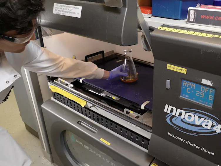 Calibration-free <em>In Vitro</em> Quantification of Protein Homo-oligomerization Using Commercial Instrumentation and Free, Open Source Brightness Analysis Software