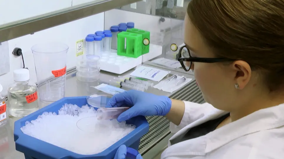 An Efficient Sieving Method to Isolate Intact Glomeruli from Adult Rat Kidney