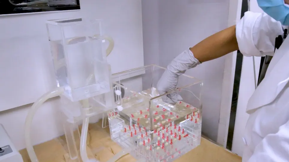 Lung Fixation under Constant Pressure for Evaluation of Emphysema in Mice