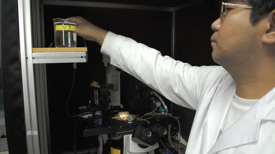 Measurement of Ion Concentration in the Unstirred Boundary Layer with Open Patch-Clamp Pipette: Implications in Control of Ion Channels by Fluid Flow