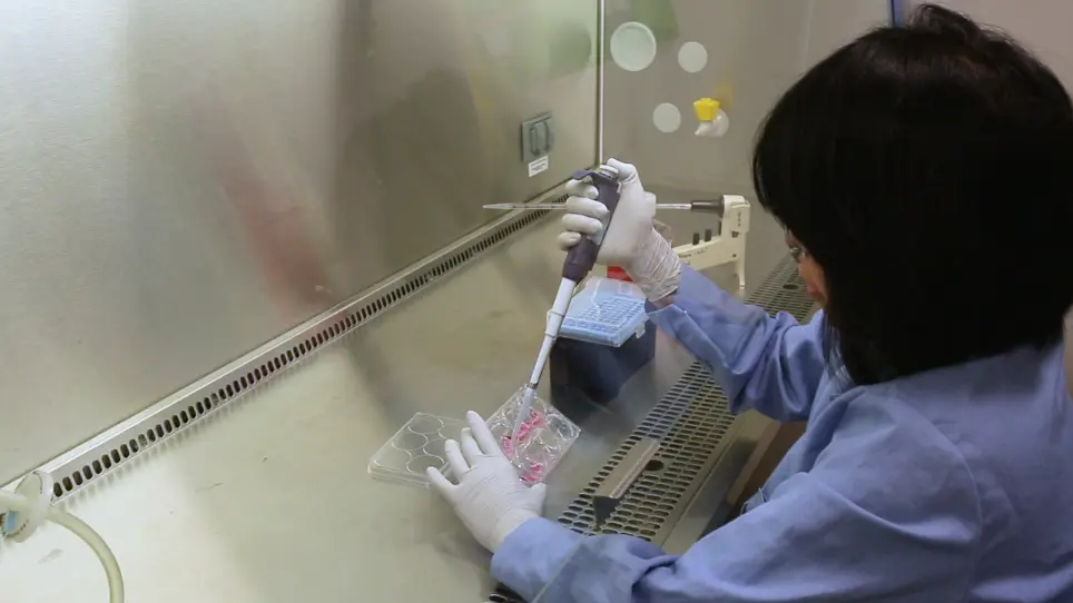 Generation of Human Primordial Germ Cell-like Cells at the Surface of Embryoid Bodies from Primed-pluripotency Induced Pluripotent Stem Cells