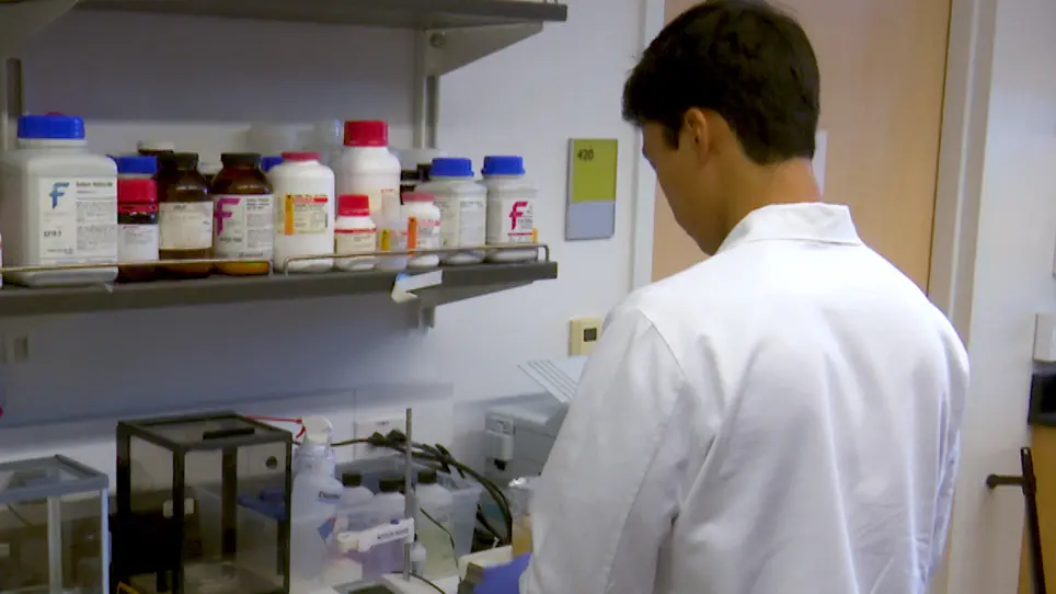 Fabricating a Kidney Cortex Extracellular Matrix-Derived Hydrogel