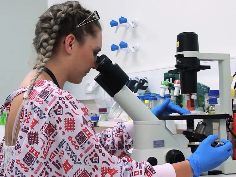Detection and Isolation of Apoptotic Bodies to High Purity