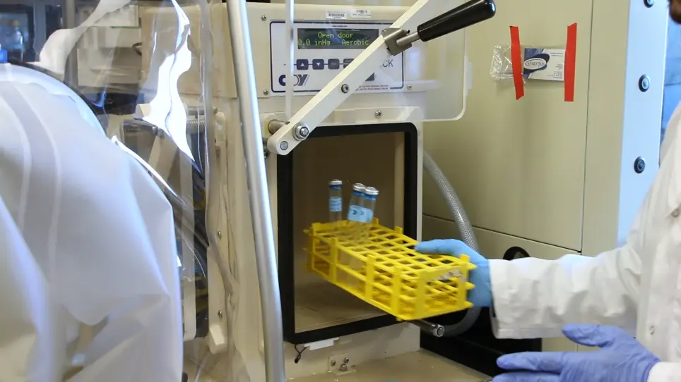 An Anaerobic Biosensor Assay for the Detection of Mercury and Cadmium