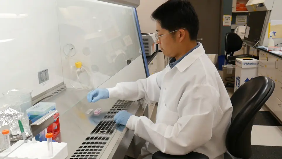 3-D Cell Culture System for Studying Invasion and Evaluating Therapeutics in Bladder Cancer
