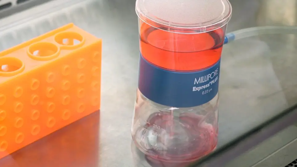 Culturing and Manipulation of O9-1 Neural Crest Cells
