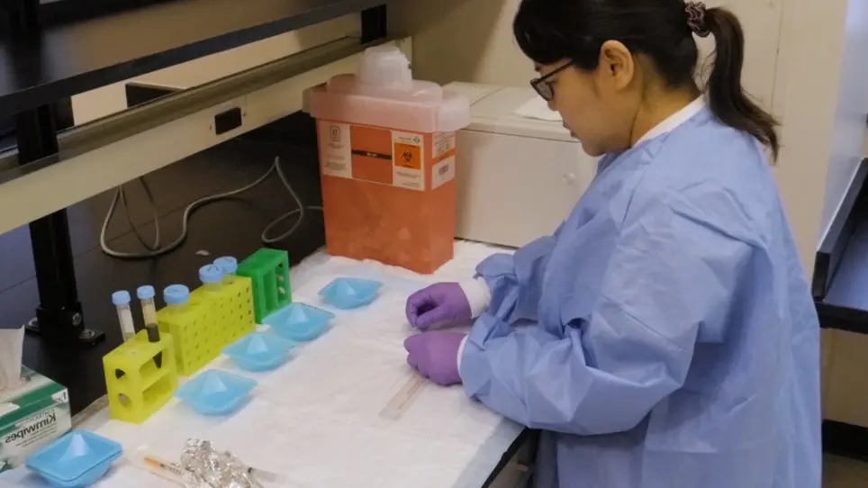 A Hyperandrogenic Mouse Model to Study Polycystic Ovary Syndrome