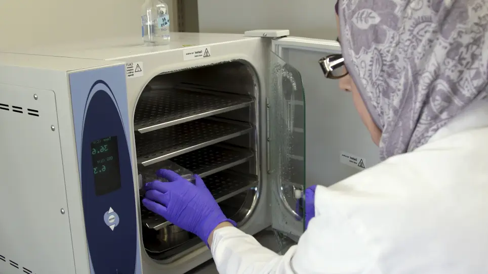 Use of Electron Paramagnetic Resonance in Biological Samples at Ambient Temperature and 77 K