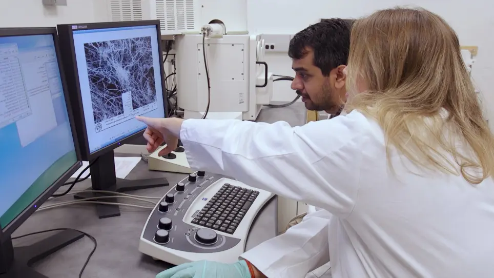 Analysis of β-Amyloid-induced Abnormalities on Fibrin Clot Structure by Spectroscopy and Scanning Electron Microscopy