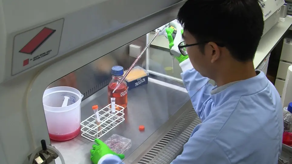 A Syngeneic Mouse B-Cell Lymphoma Model for Pre-Clinical Evaluation of CD19 CAR T Cells