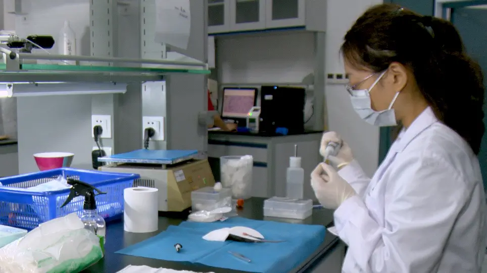 An <em>In Vivo</em> Method to Study Mouse Blood-Testis Barrier Integrity