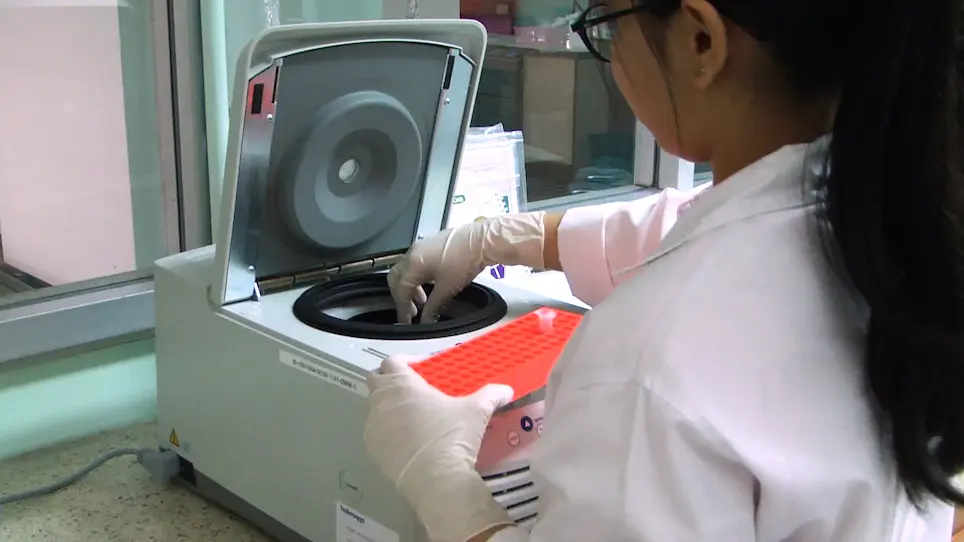 Detection of Tilapia Lake Virus Using Conventional RT-PCR and SYBR Green RT-qPCR