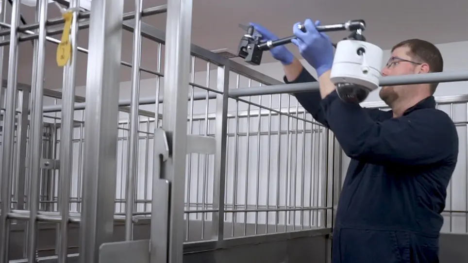 Noninvasive, In-pen Approach Test for Laboratory-housed Pigs