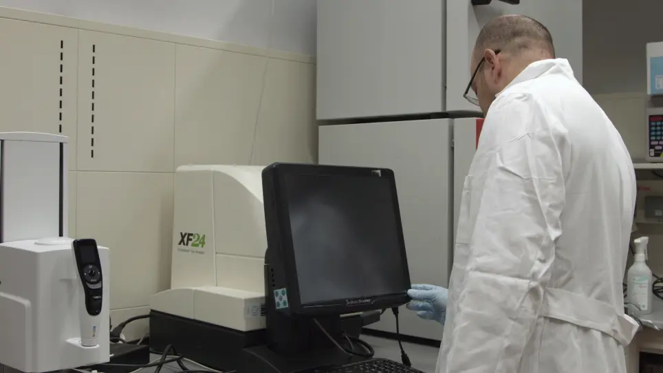 Measuring and Interpreting Oxygen Consumption Rates in Whole Fly Head Segments