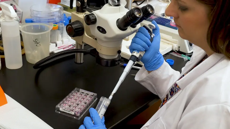 Measurement of Energy Metabolism in Explanted Retinal Tissue Using Extracellular Flux Analysis