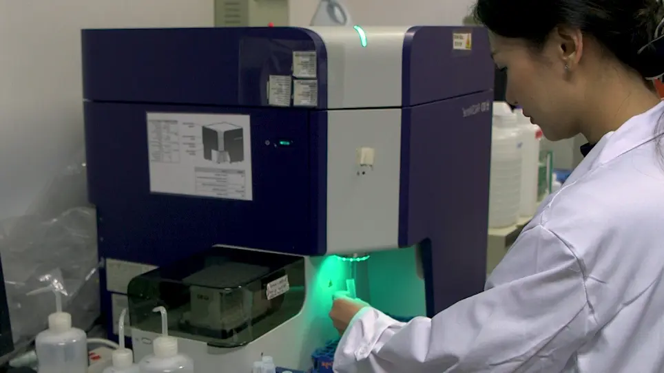 Flow Cytometric Detection of Newly-formed Breast Cancer Stem Cell-like Cells After Apoptosis Reversal