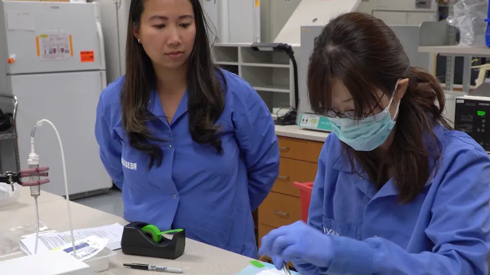 Isolation of Tissue Extracellular Vesicles from the Liver