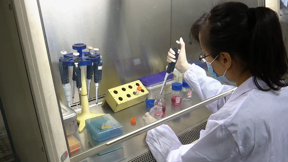Nerve Stem Cell Differentiation by a One-step Cold Atmospheric Plasma Treatment <em>In Vitro</em>