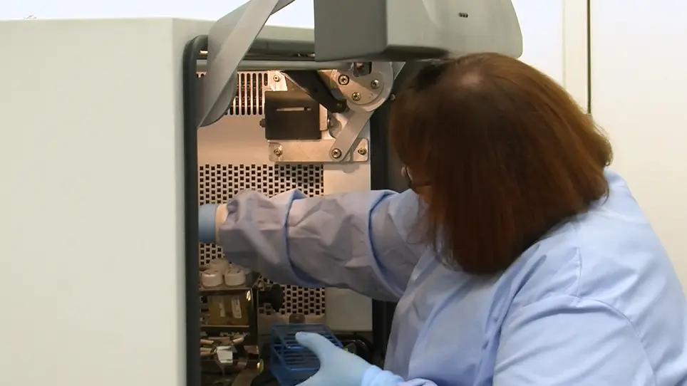Separating Bacteria by Capsule Amount Using a Discontinuous Density Gradient