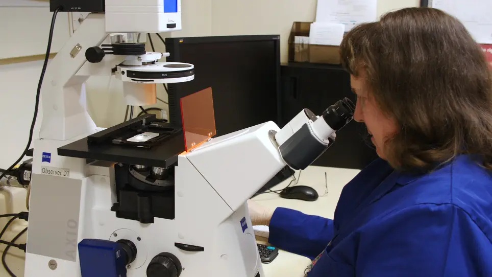Isolation of Mouse Epidermal Keratinocytes and Their In Vitro Clonogenic Culture