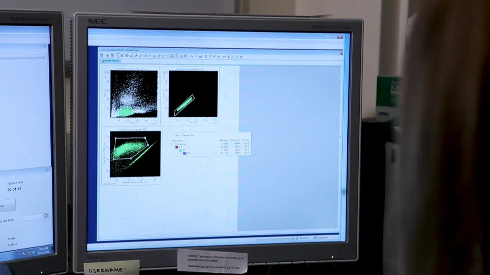 Quantifying Leukocyte Egress via Lymphatic Vessels from Murine Skin and Tumors