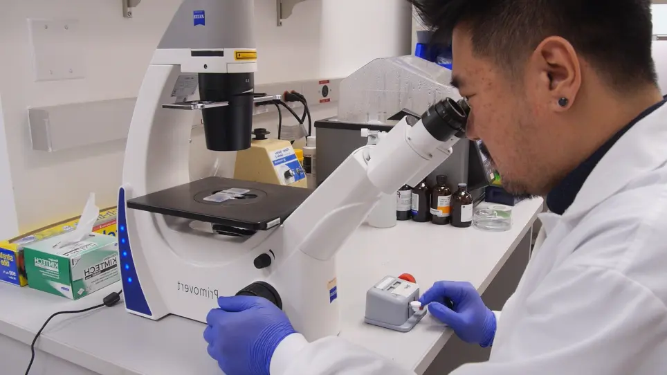 Investigation of Genetic Dependencies Using CRISPR-Cas9-based Competition Assays