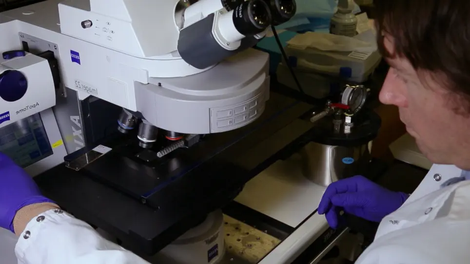 <em>In Vivo</em> Targeted Expression of Optogenetic Proteins Using Silk/AAV Films