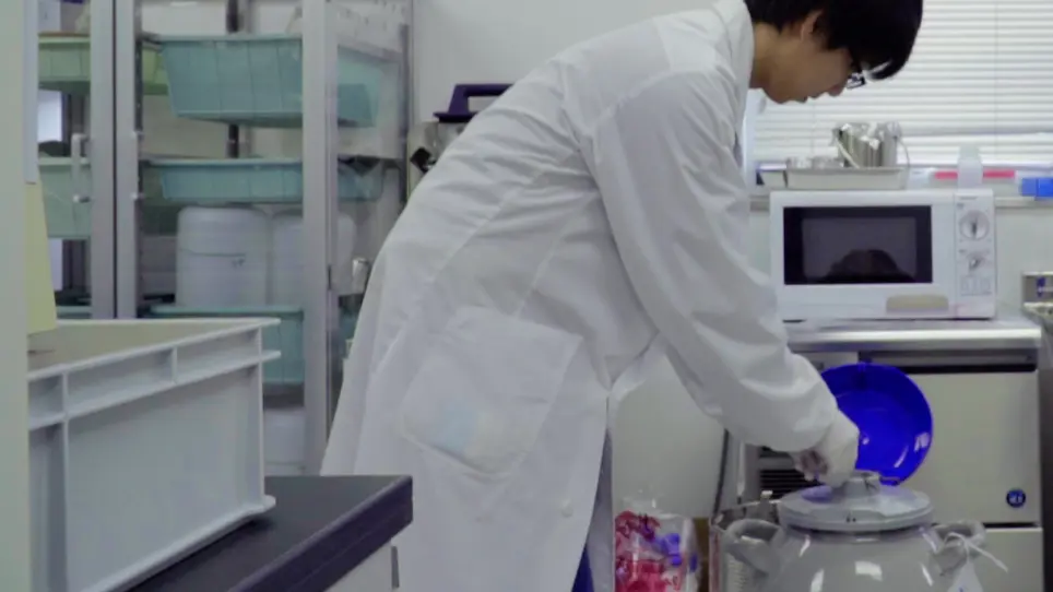 Assays for the Specific Growth Rate and Cell-binding Ability of Rotavirus