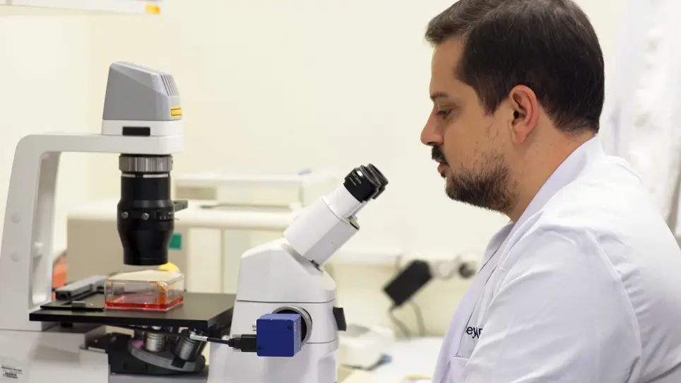 Mesenchymal Stem Cell Isolation from Pulp Tissue and Co-Culture with Cancer Cells to Study Their Interactions