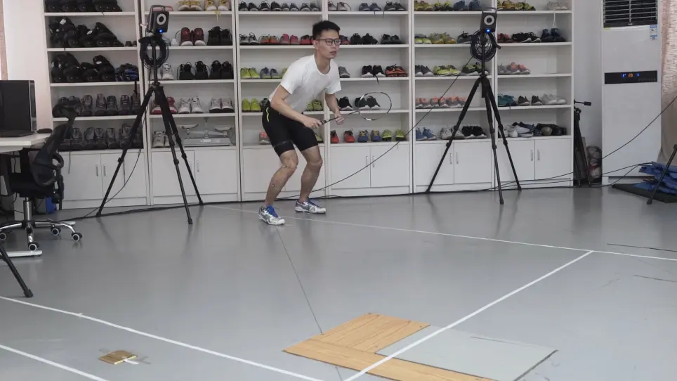 Biomechanical Analysis Methods to Assess Professional Badminton Players' Lunge Performance